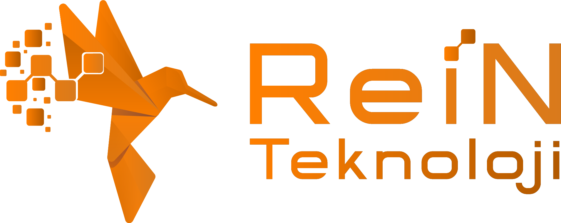 ReiN Teknoloji